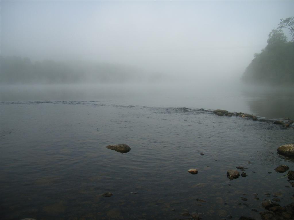 1011x754 pixels (50K)